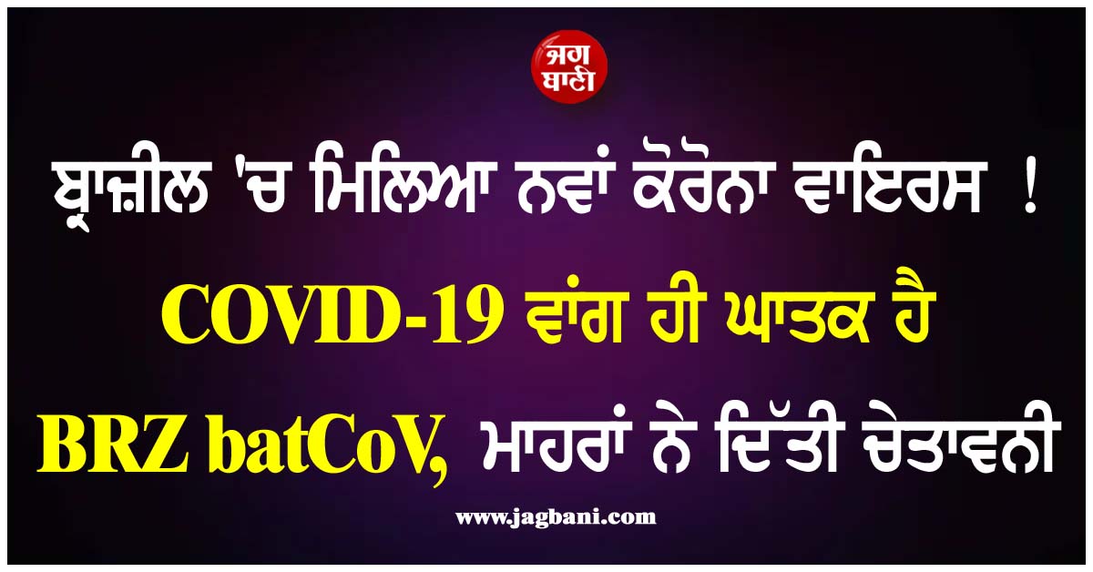 ਬ੍ਰਾਜ਼ੀਲ 'ਚ ਮਿਲਿਆ ਨਵਾਂ ਕੋਰੋਨਾ ਵਾਇਰਸ! COVID-19 ਵਾਂਗ ਹੀ ਘਾਤਕ ਹੈ BRZ batCoV, ਮਾਹਰਾਂ ਨੇ ਦਿੱਤੀ ਚੇਤਾਵਨੀ