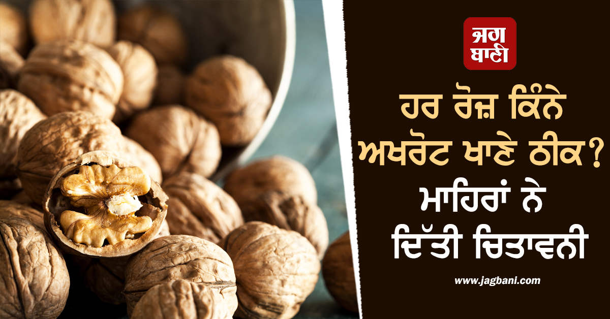ਹਰ ਰੋਜ਼ ਕਿੰਨੇ ਅਖਰੋਟ ਖਾਣੇ ਠੀਕ? ਮਾਹਿਰਾਂ ਨੇ ਦਿੱਤੀ ਚਿਤਾਵਨੀ