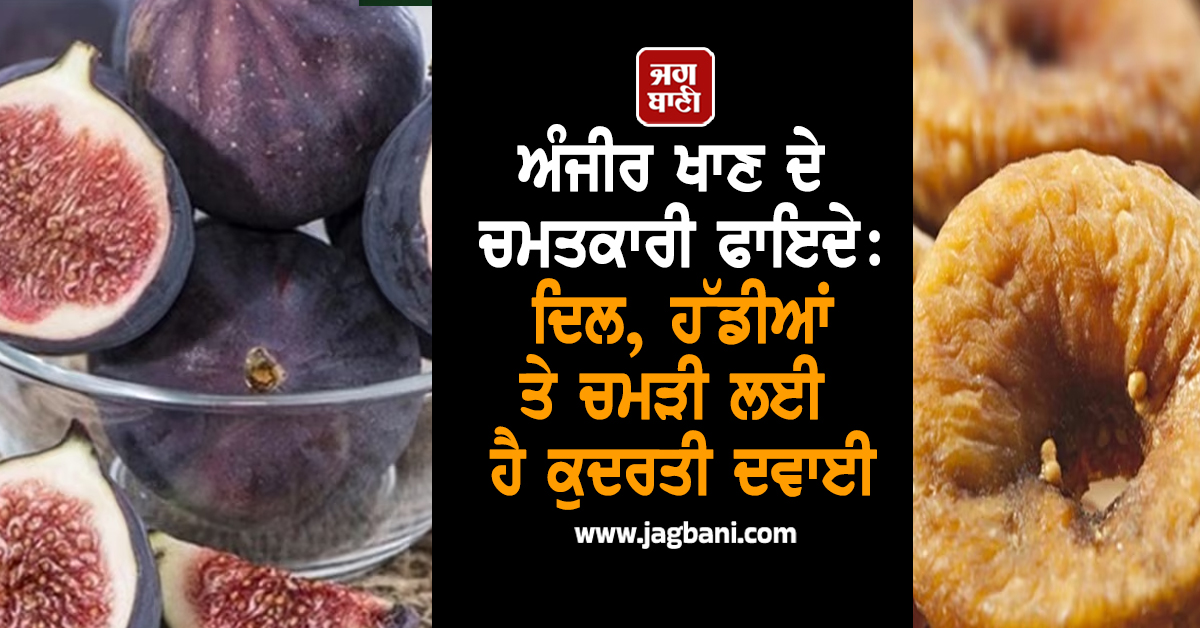 ਅੰਜੀਰ ਖਾਣ ਦੇ ਚਮਤਕਾਰੀ ਫਾਇਦੇ: ਦਿਲ, ਹੱਡੀਆਂ ਤੇ ਚਮੜੀ ਲਈ ਹੈ ਕੁਦਰਤੀ ਦਵਾਈ
