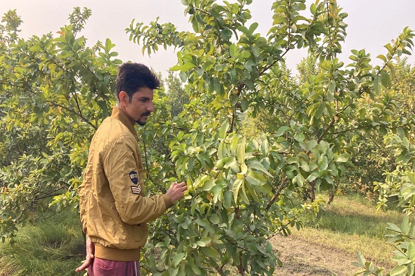 ਧਰਤੀ ਹੇਠਲੇ ਪਾਣੀ ਨੂੰ ਬਚਾਉਣ ਵਾਲੀ ਪੰਜਾਬ ਸਰਕਾਰ ਦੀ ਮੁਹਿੰਮ ਨੂੰ ਪੈਣ ਲਗਿਆ ਬੂਰ