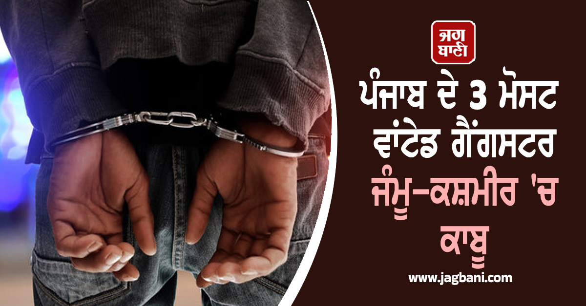 ਪੰਜਾਬ ਦੇ 3 ਮੋਸਟ ਵਾਂਟੇਡ ਗੈਂਗਸਟਰ ਜੰਮੂ-ਕਸ਼ਮੀਰ 'ਚ ਕਾਬੂ , ਹਥਿਆਰ ਅਤੇ ਹੋਰ ਸਾਮਾਨ ਬਰਾਮਦ