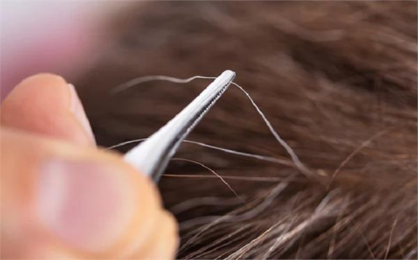 plucking one white hair