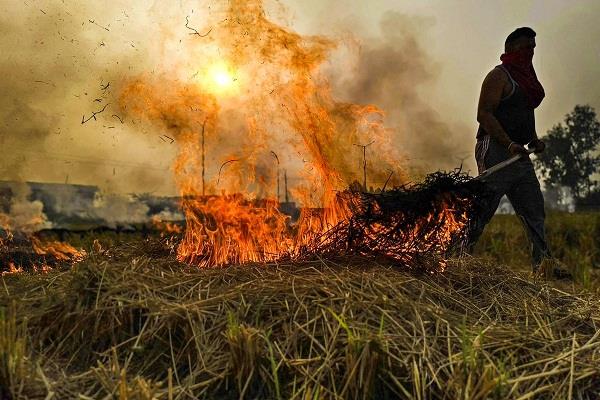 case registered against 3 people for setting stubble on fire