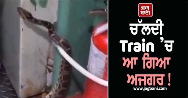 train  python  passenger  police