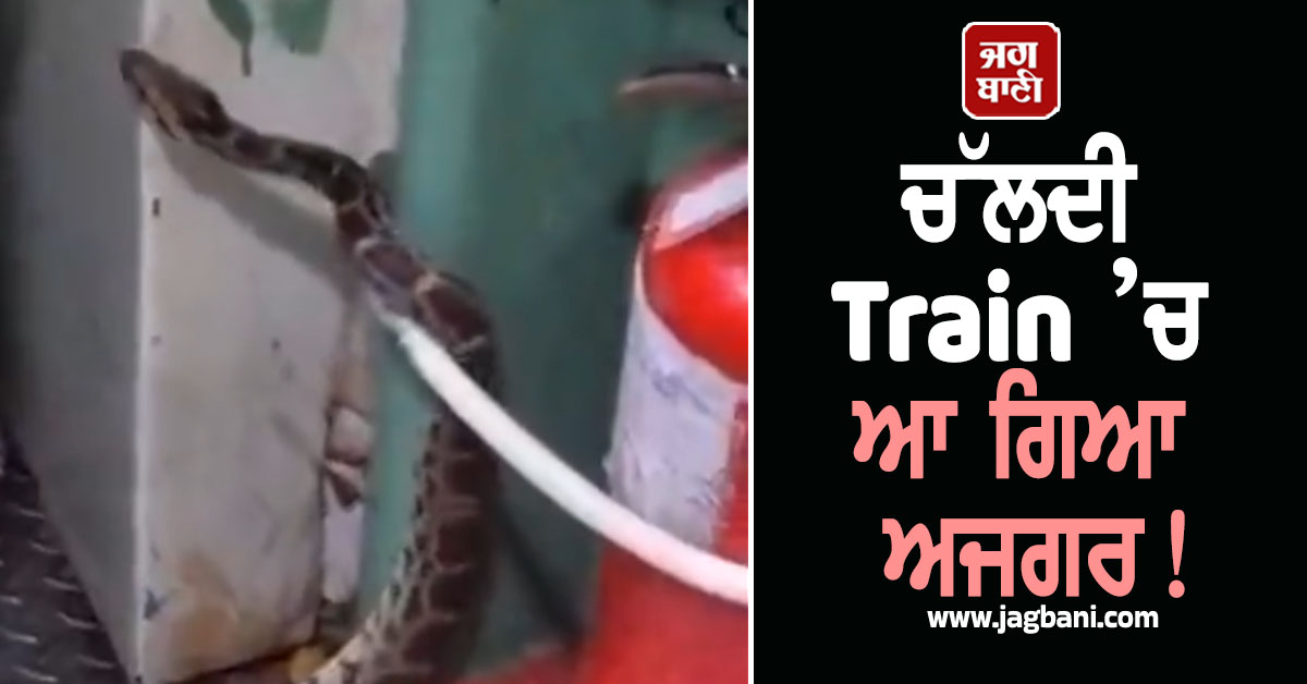 ਚੱਲਦੀ Train ’ਚ ਆ ਗਿਆ ਅਜਗਰ! ਯਾਤਰੀਆਂ ਨੂੰ ਪੈ ਗਈਆਂ ਭਾਜੜਾਂ