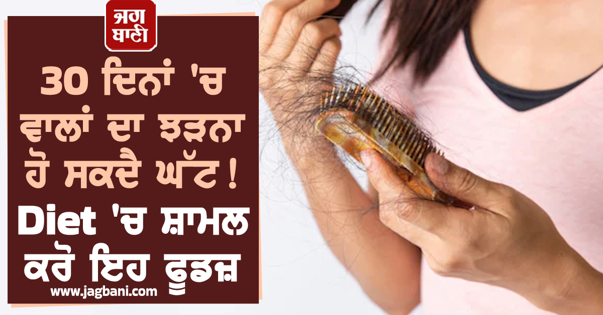 30 ਦਿਨਾਂ ''ਚ ਵਾਲਾਂ ਦਾ ਝੜਨਾ ਹੋ ਸਕਦੈ ਘੱਟ! Diet ''ਚ ਸ਼ਾਮਲ ਕਰੋ ਇਹ ਫੂਡਜ਼