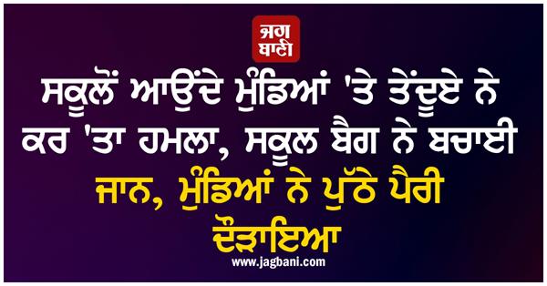 leopard attacks boys returning from school