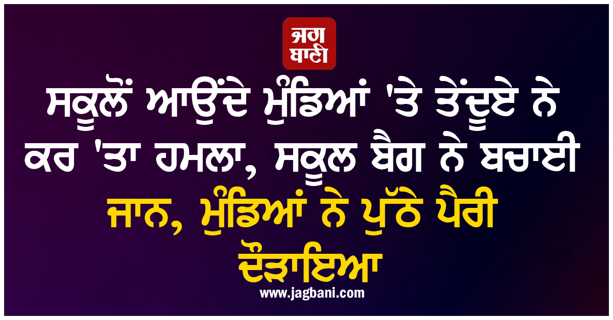 ਸਕੂਲੋਂ ਆਉਂਦੇ ਮੁੰਡਿਆਂ 'ਤੇ ਤੇਂਦੂਏ ਨੇ ਕਰ 'ਤਾ ਹਮਲਾ, ਸਕੂਲ ਬੈਗ ਨੇ ਬਚਾਈ ਜਾਨ, ਮੁੰਡਿਆਂ ਨੇ ਪੁੱਠੇ ਪੈਰੀ ਦੌੜਾਇਆ