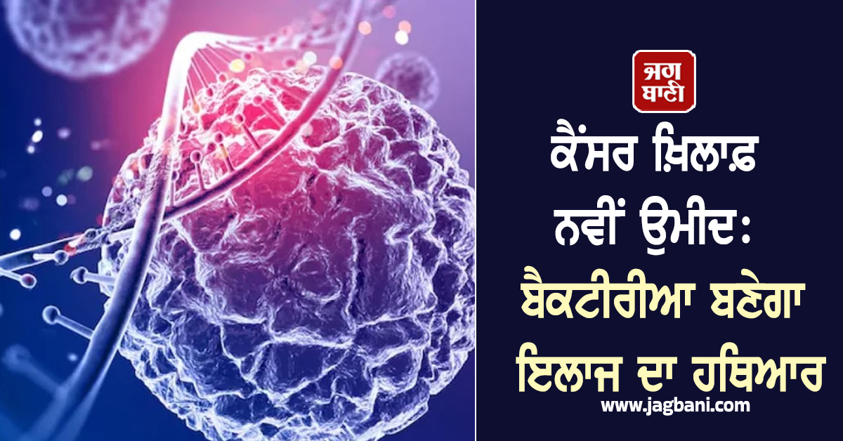 ਕੈਂਸਰ ਖ਼ਿਲਾਫ਼ ਨਵੀਂ ਉਮੀਦ: ਬੈਕਟੀਰੀਆ ਬਣੇਗਾ ਇਲਾਜ ਦਾ ਹਥਿਆਰ