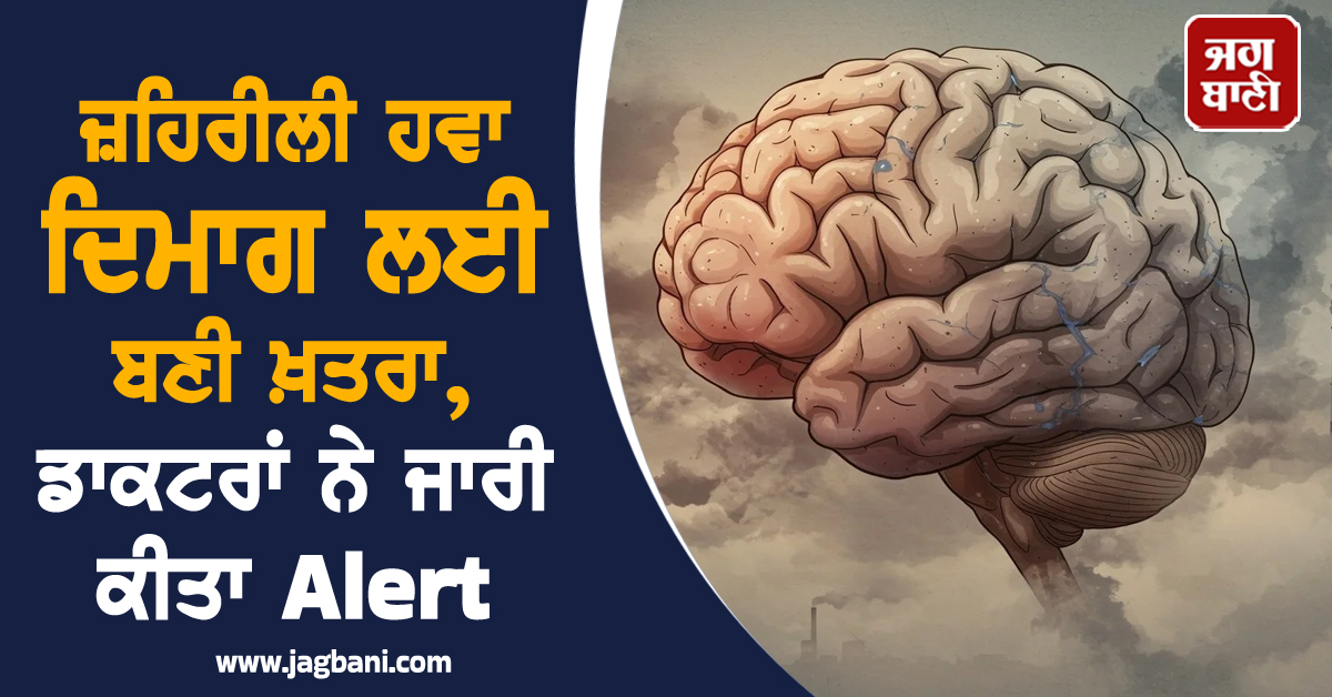 ਜ਼ਹਿਰੀਲੀ ਹਵਾ ਦਿਮਾਗ ਲਈ ਬਣੀ ਖ਼ਤਰਾ, ਡਾਕਟਰਾਂ ਨੇ ਜਾਰੀ ਕੀਤਾ Alert