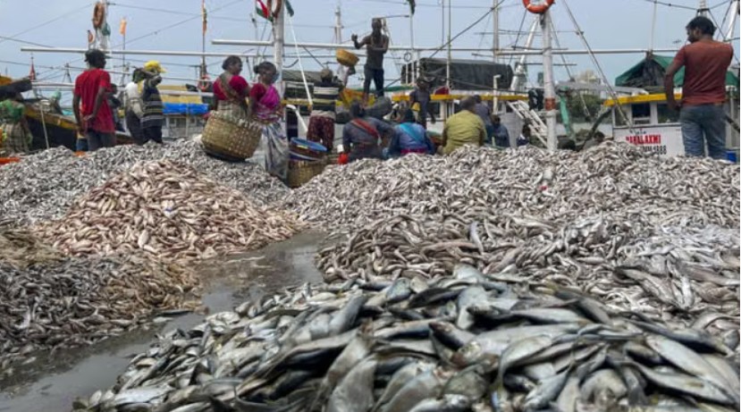 ਡੂੰਘੇ ਸਮੁੰਦਰ ''ਚ ਮੱਛੀਆਂ ਫੜਨ ਲਈ ਨਵੇਂ ਨਿਯਮ ਜਾਰੀ, ਪਹੁੰਚ ਪਾਸ ਹੋਣਗੇ ਲਾਜ਼ਮੀ