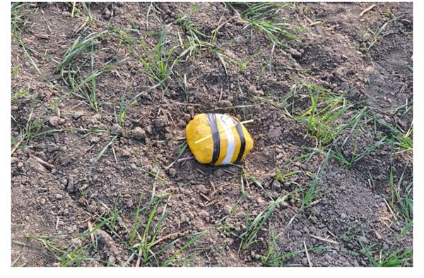 joint operation by police and bsf