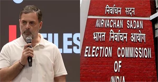 ec on rahul gandhi