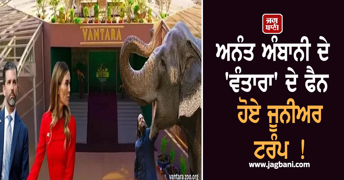 ਅਨੰਤ ਅੰਬਾਨੀ ਦੇ ''ਵੰਤਾਰਾ'' ਦੇ ਫੈਨ ਹੋਏ ਜੂਨੀਅਰ ਟਰੰਪ, ਬੋਲੇ- "ਇੱਥੋਂ ਦੇ ਜਾਨਵਰ ਮੇਰੇ ਨਾਲੋਂ..."