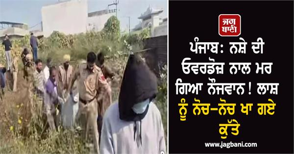 drug overdose punjab