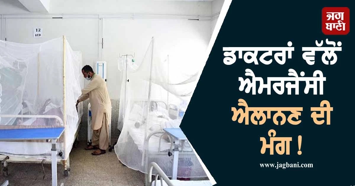 ਡਾਕਟਰਾਂ ਵੱਲੋਂ ਐਮਰਜੈਂਸੀ ਐਲਾਨਣ ਦੀ ਮੰਗ! ਸਿੰਧ 'ਚ ਡੇਂਗੂ ਕਾਰਨ ਹੁਣ ਤੱਕ 29 ਲੋਕਾਂ ਦੀ ਮੌਤ