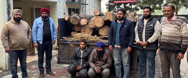 2 people arrested with tractor trolley loaded with illegal logging