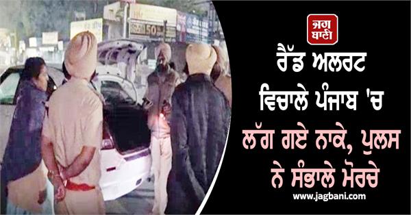 red alert punjab checkpoints police