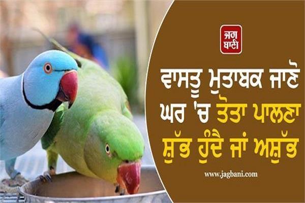 according vastu parrot house
