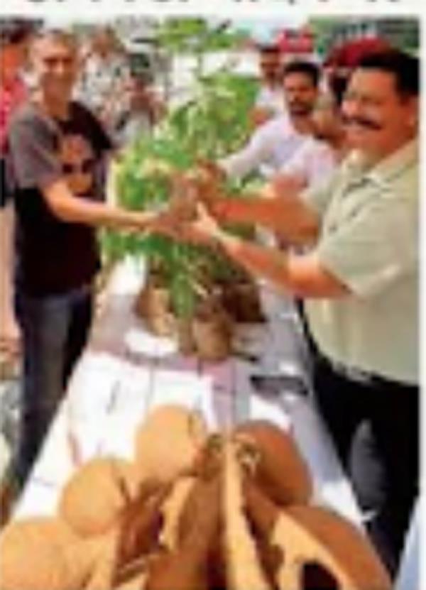 6 friends from patiala take task of getting daughters from poor families married