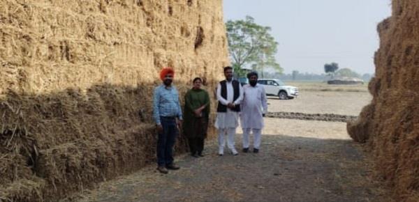 baljinder singh stubble
