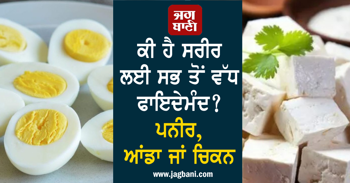 ਕੀ ਹੈ ਸਰੀਰ ਲਈ ਸਭ ਤੋਂ ਵੱਧ ਫਾਇਦੇਮੰਦ? ਪਨੀਰ, ਆਂਡਾ ਜਾਂ ਚਿਕਨ