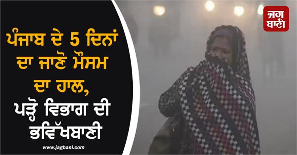 know the weather condition of punjab for the next 5 days