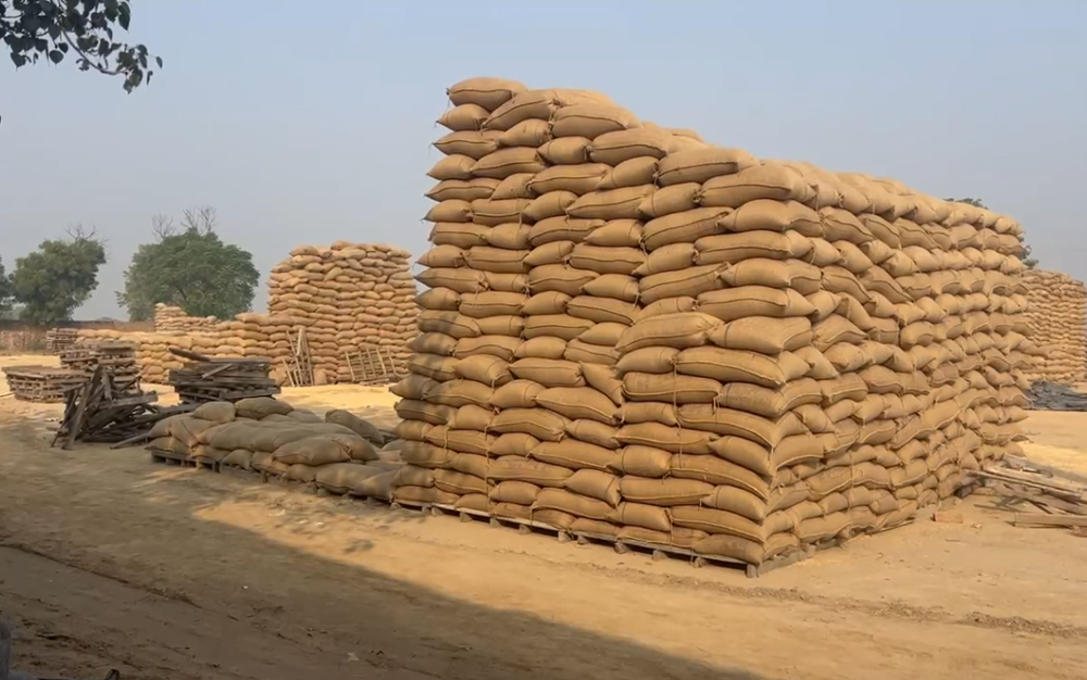 ਬੁਢਲਾਡਾ ਦੇ ਬਰੇਟਾ ਕਸਬੇ ''ਚ ਮਾਰਕਫੈੱਡ ''ਚ ਘੁਟਾਲਾ, 3 ਕਰੋੜ ਦੀ ਜੀਰੀ ਖੁਰਦ-ਬੁਰਦ