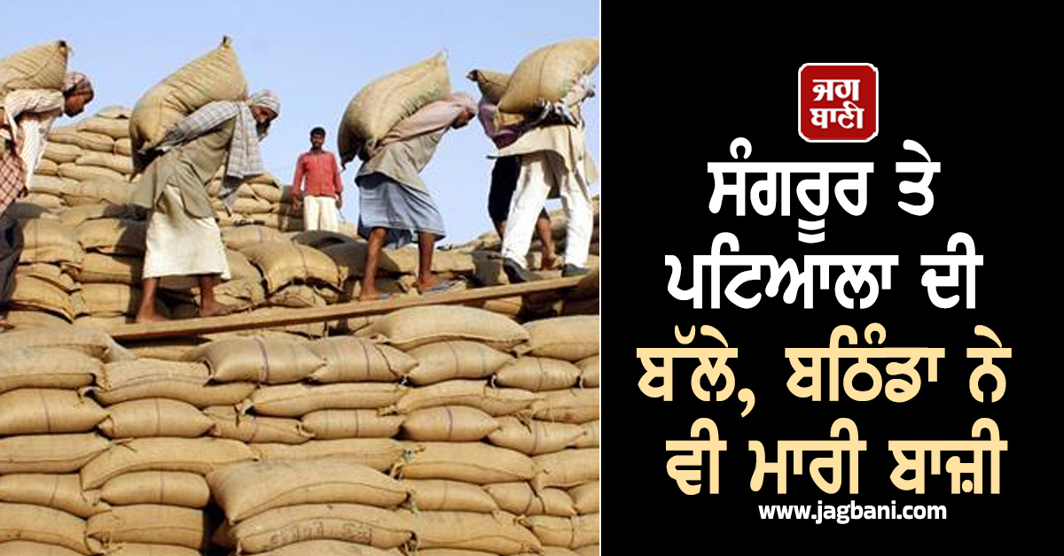 ਸੰਗਰੂਰ ਤੇ ਪਟਿਆਲਾ ਦੀ ਬੱਲੇ, ਬਠਿੰਡਾ ਨੇ ਵੀ ਮਾਰੀ ਬਾਜ਼ੀ