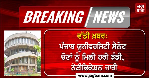 panjab university senate elections will be held notification issued