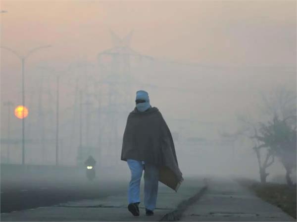 imd issues cold wave warning