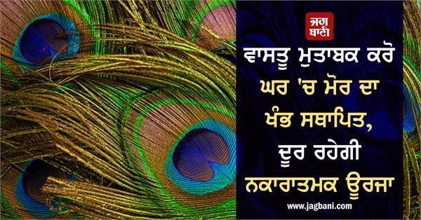 vastu tips peacock feathers