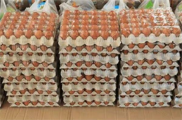 fake egg consignment recovered in moradabad warehouse sealed