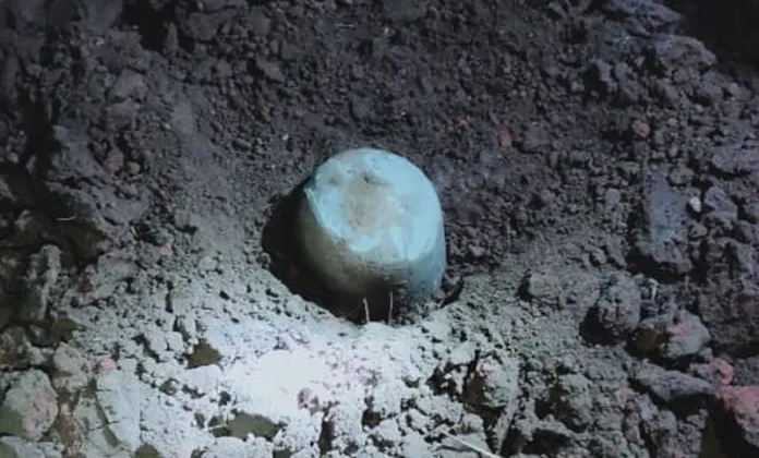 ਖੁਦਾਈ ਦੌਰਾਨ ਇੱਟਾਂ ਦੇ ਭੱਠੇ ''ਚੋਂ ਮਿਲਿਆ ਇੱਕ ਵਿਸ਼ਾਲ ਸ਼ਿਵਲਿੰਗ