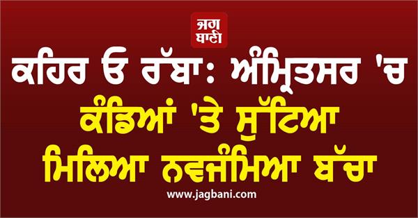 newborn baby found thrown on thorns in amritsar