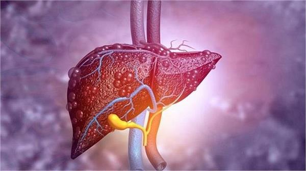 risk of liver cancer will increase