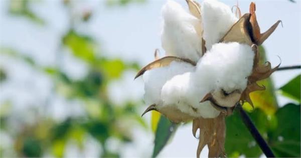 textile ministry convenes meeting on november 19