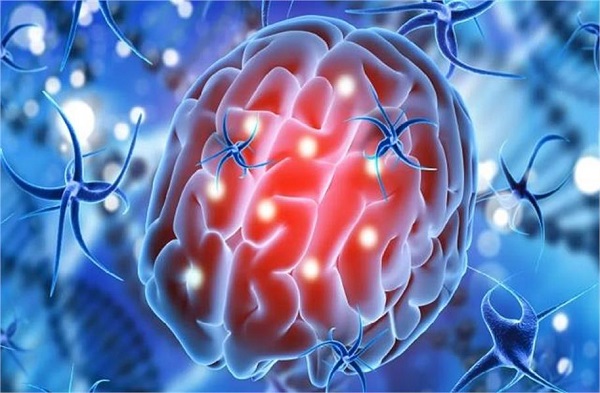 ਦਿਸ ਰਹੇ ਨੇ ਇਹ ਲੱਛਣ ਤਾਂ ਤੁਰੰਤ ਕਰੋ ਡਾਕਟਰ ਨਾਲ ਸੰਪਰਕ, ਹੋ ਸਕਦੈ ਬ੍ਰੇਨ ਕੈਂਸਰ!