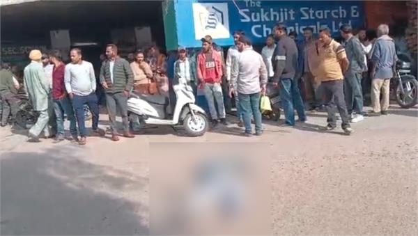 youth dies after falling under tractor trolley loaded with wood