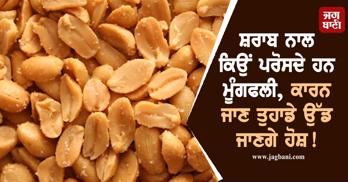 ਸ਼ਰਾਬ ਨਾਲ ਕਿਉਂ ਪਰੋਸਦੇ ਹਨ ਮੂੰਗਫਲੀ, ਕਾਰਨ ਜਾਣ ਤੁਹਾਡੇ ਉੱਡ ਜਾਣਗੇ ਹੋਸ਼!