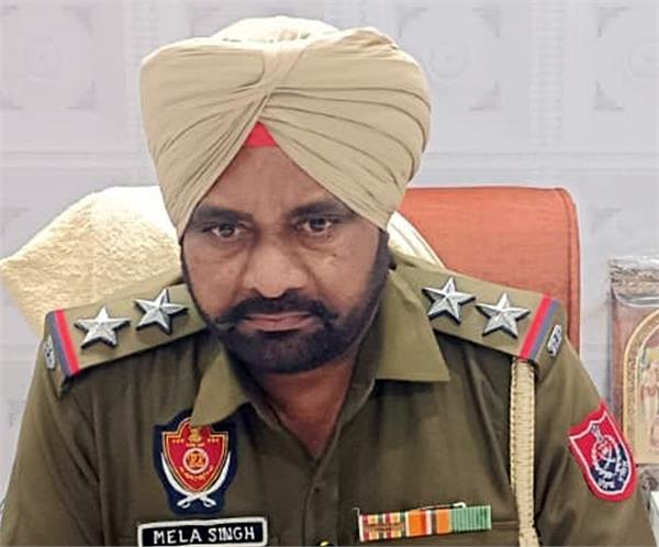 markfed  s paddy worth crores of rupees was crushed