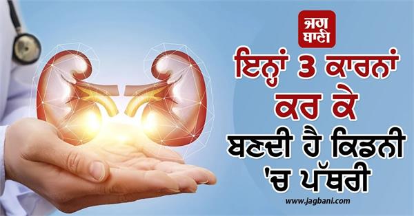 kidney stone symptoms causes prevention tips