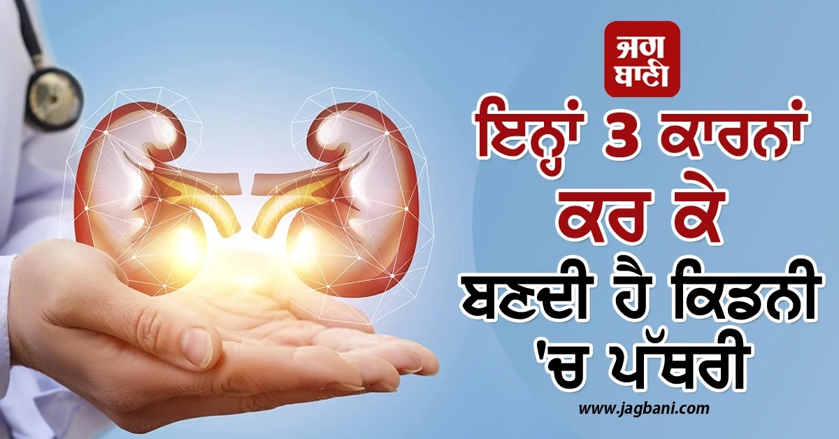 ਸਾਵਧਾਨ! ਇਨ੍ਹਾਂ 3 ਕਾਰਨਾਂ ਕਰਕੇ ਬਣਦੀ ਹੈ ਕਿਡਨੀ ''ਚ ਪੱਥਰੀ; ਜਾਣੋਂ ਕਿਵੇਂ ਕਰੀਏ ਬਚਾਅ