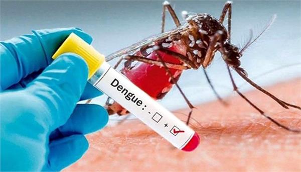 two deaths due to dengue in delhi this year