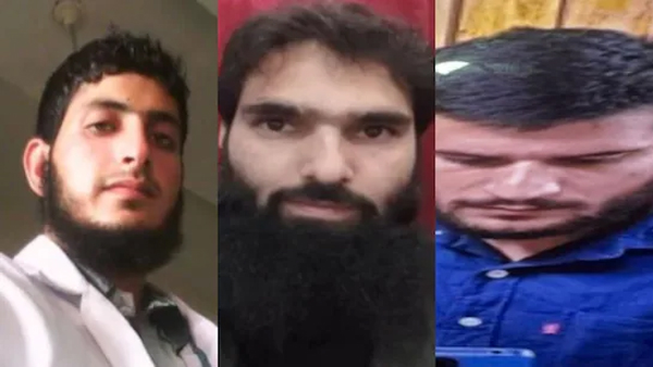 ਮਲ੍ਹਮ ਲਾਉਣ ਤੋਂ ਲੈ ਕੇ ਸੱਟ ਮਾਰਨ ਤੱਕ : ਵ੍ਹਾਈਟ-ਕਾਲਰ ਕੱਟੜਪੰਥ ਦਾ ਉਭਾਰ