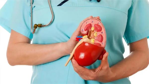 india ranks second in cases of chronic kidney disease