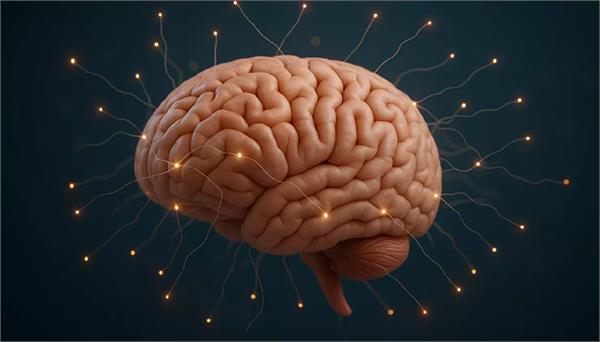 4 habits that will make your brain 8 years younger