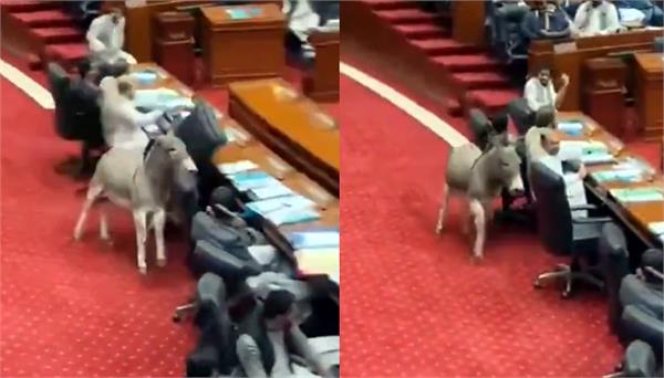 video of pakistani parliament goes viral