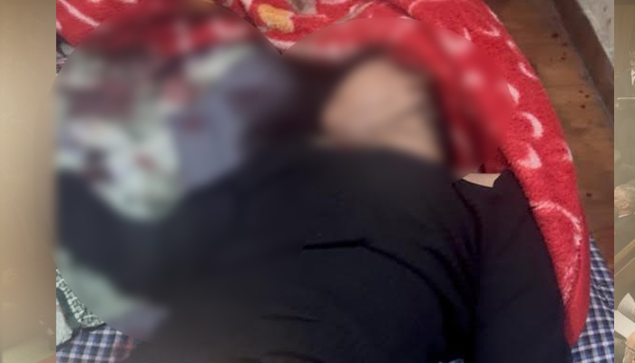 ਹੋਟਲ ਦੇ ਕਮਰੇ ’ਚੋਂ ਅਰਧ-ਨਗਨ ਹਾਲਤ ’ਚ ਮਿਲੀ ਔਰਤ ਦੀ ਲਾਸ਼