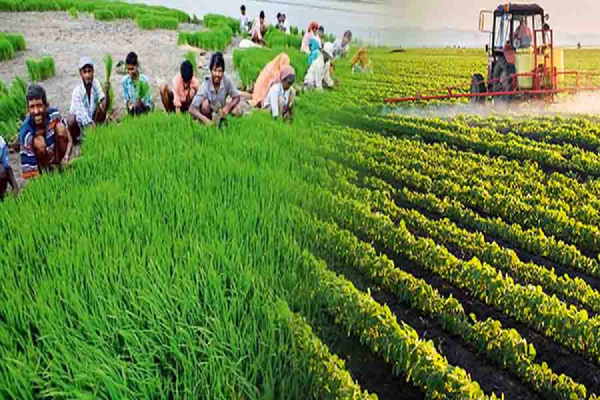 ਕੀ ਇਕ ਨਵੀਂ ਹਰੀ ਕ੍ਰਾਂਤੀ ਸ਼ੁਰੂ ਕਰਨ ਦਾ ਸਮਾਂ ਆ ਗਿਆ